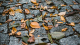 Cobblestone Pavers Stone and Rock