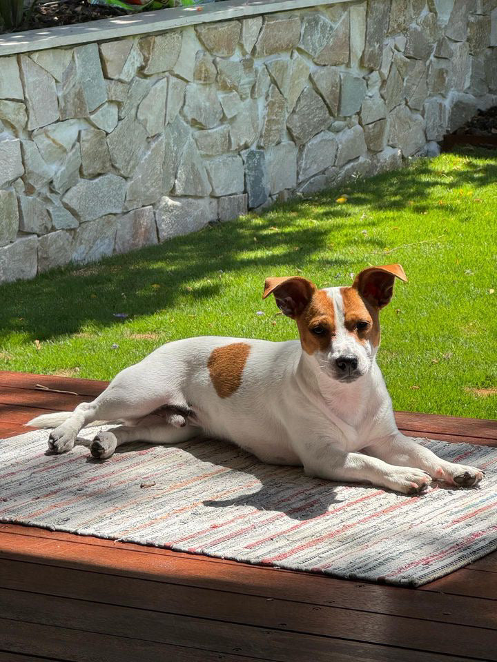 Natural Stone Wall Cladding Free Form - Loose Stone - White Beige Blend