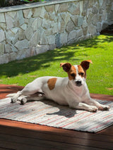 Natural Stone Wall Cladding Free Form - Loose Stone - White Beige Blend