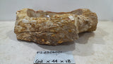 Natural Handmade Petrified Wood Basin - FS2306001