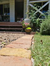 Reclaimed 19th Century European Bricks