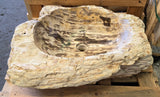 Natural Handmade Petrified Wood Basin - FS 2310022