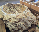 Natural Handmade Petrified Wood Basin - FS 2310022