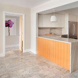 Silver Shadow Marble