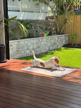 Natural Stone Wall Cladding Free Form - Loose Stone - White Beige Blend