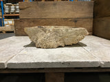 Natural Handmade Petrified Wood Basin - FSB 231009