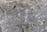 European Stone Wall Cladding Free Form Loose Stone - Travertine Silver