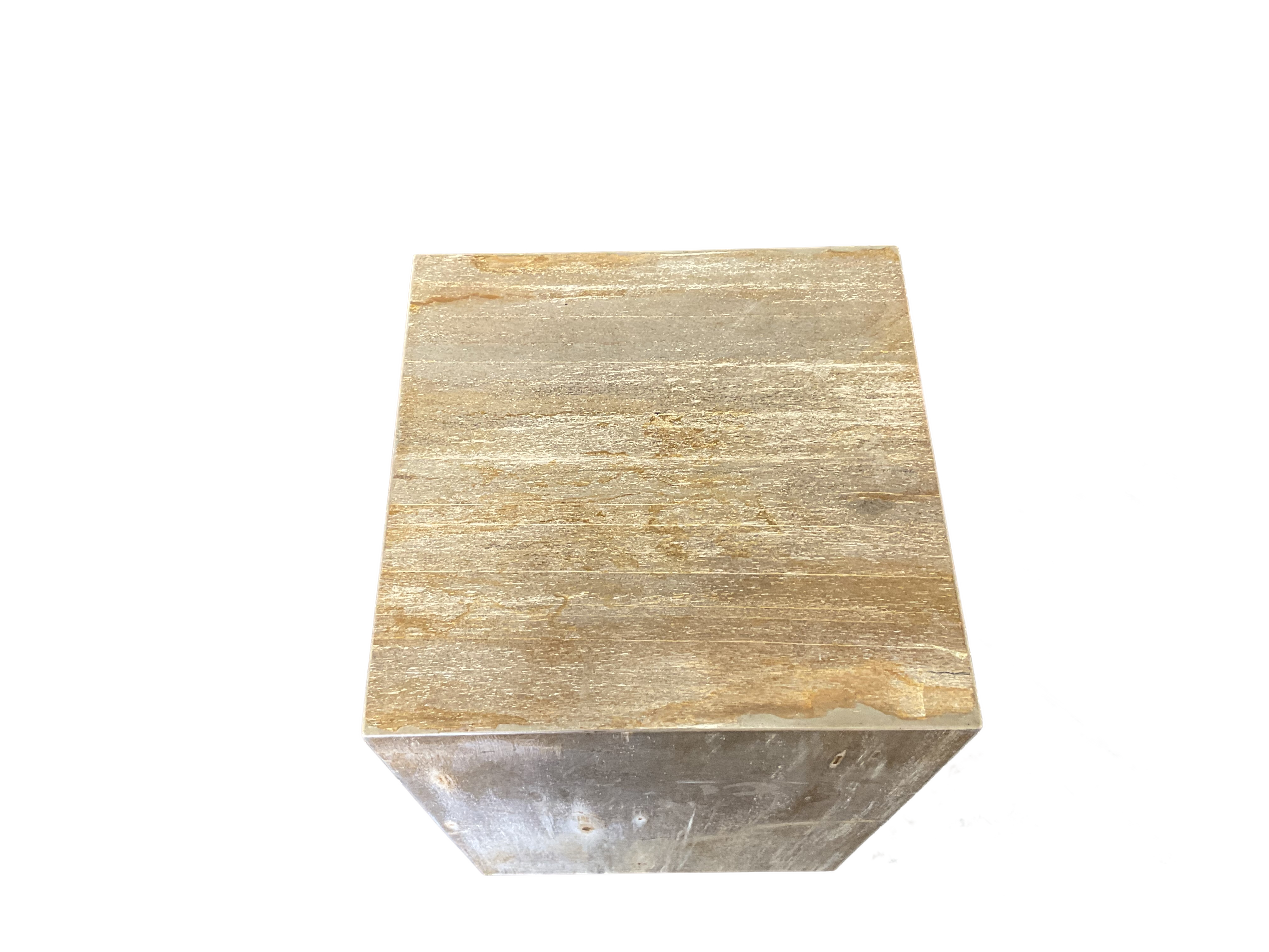 Petrified Wood Side Table - PT05