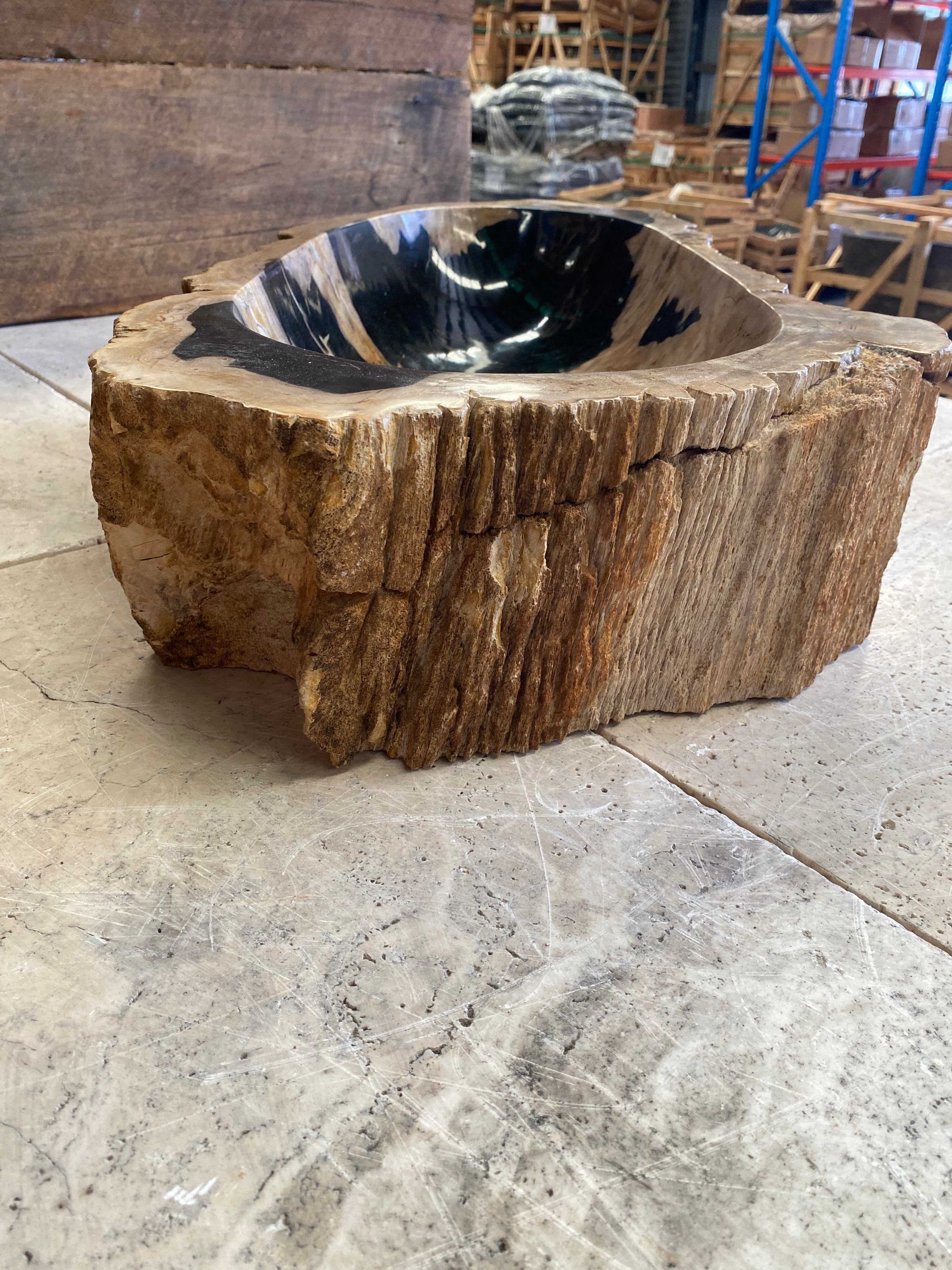 Natural Handmade Petrified Wood Basin - FSB231042