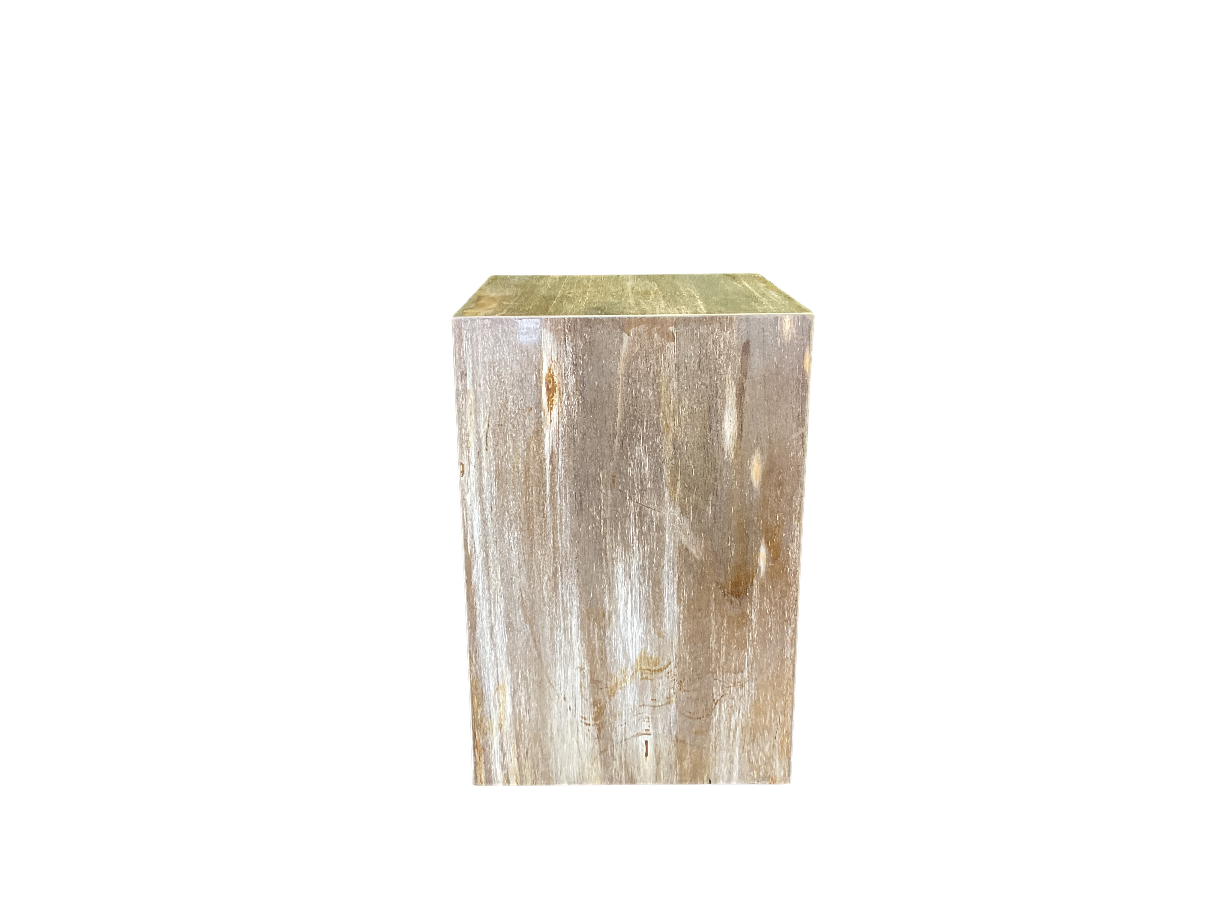 Petrified Wood Side Table - PT05