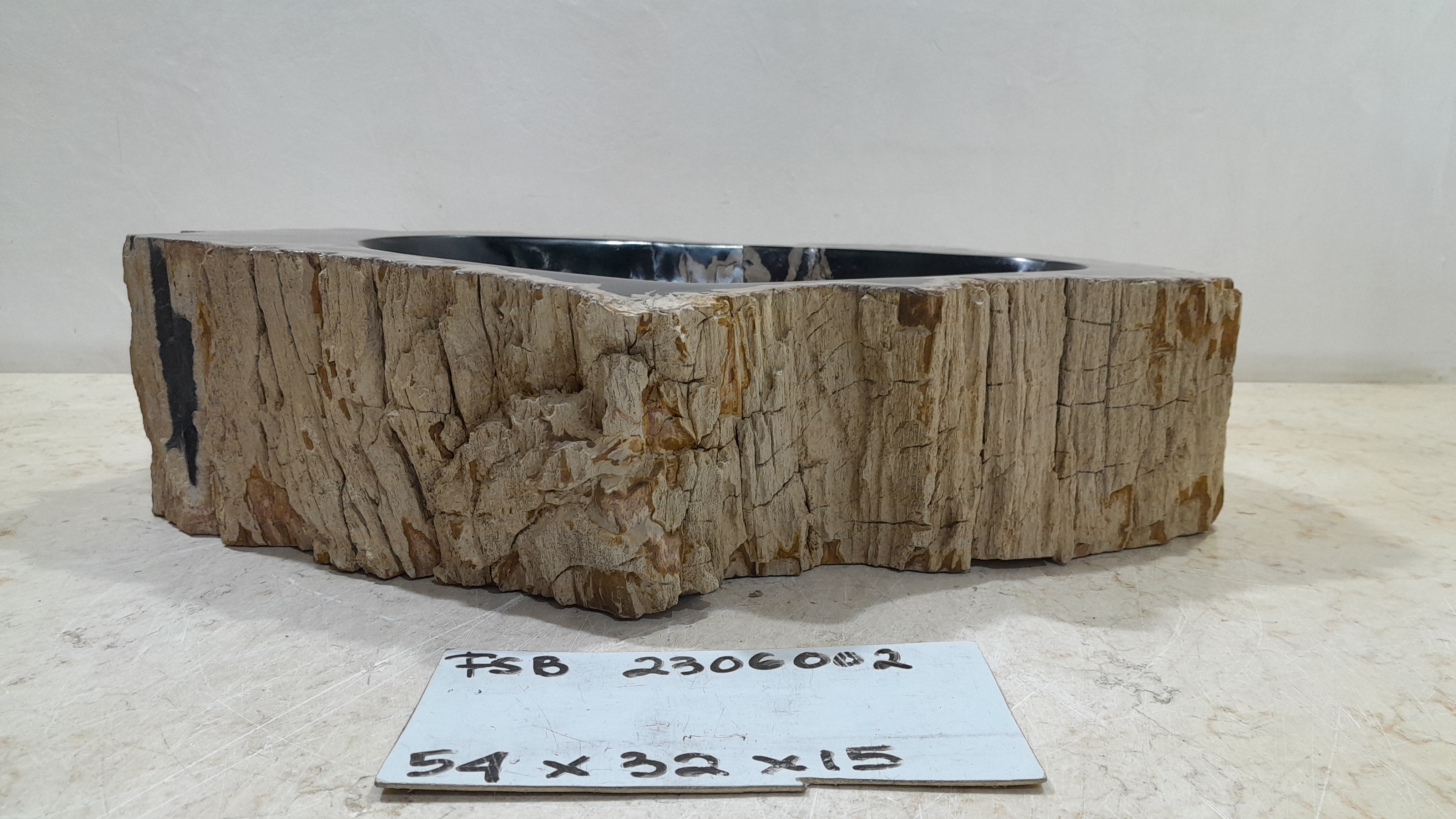 Natural Handmade Petrified Wood Basin - FSB506002