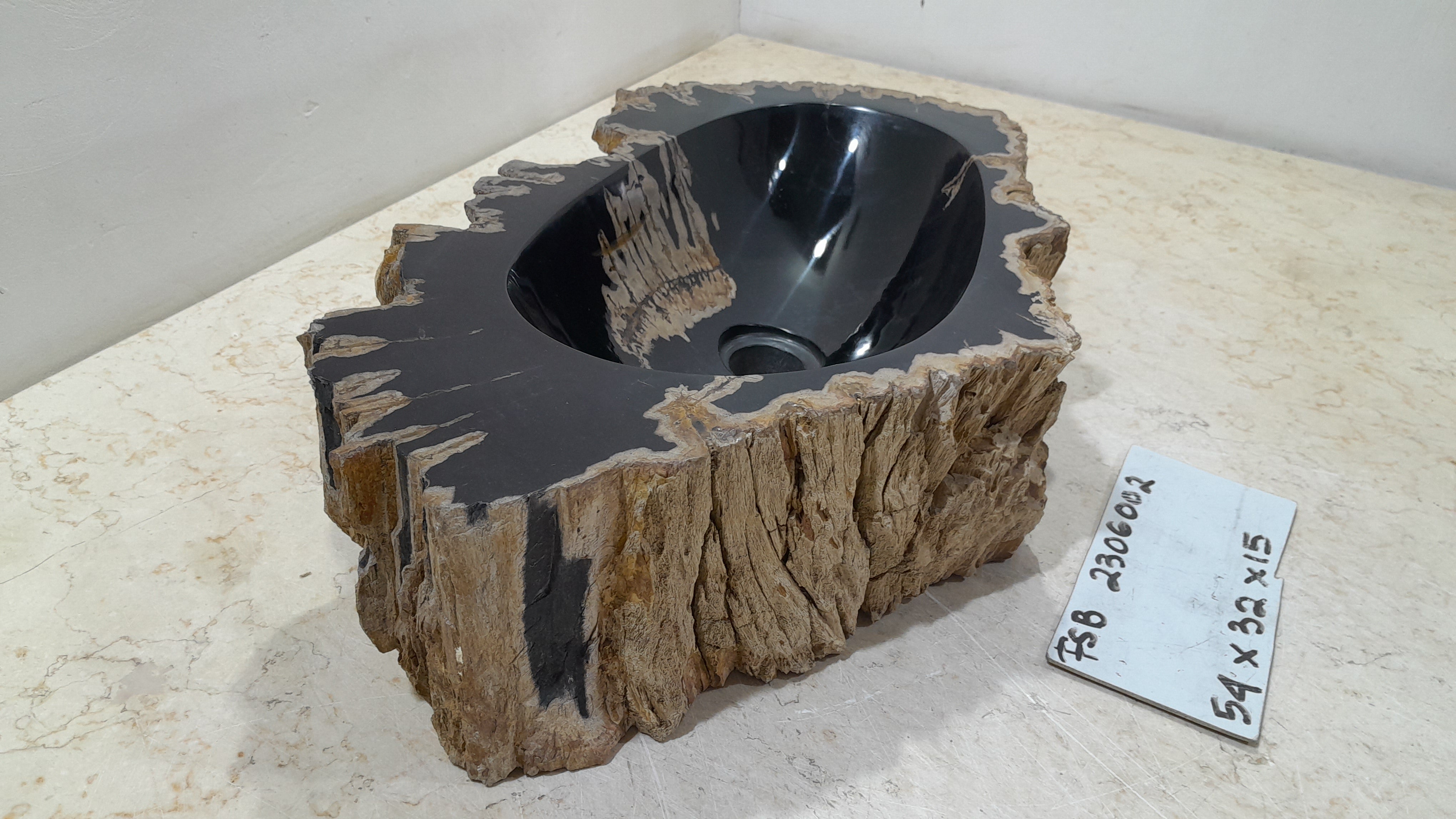 Natural Handmade Petrified Wood Basin - FSB506002