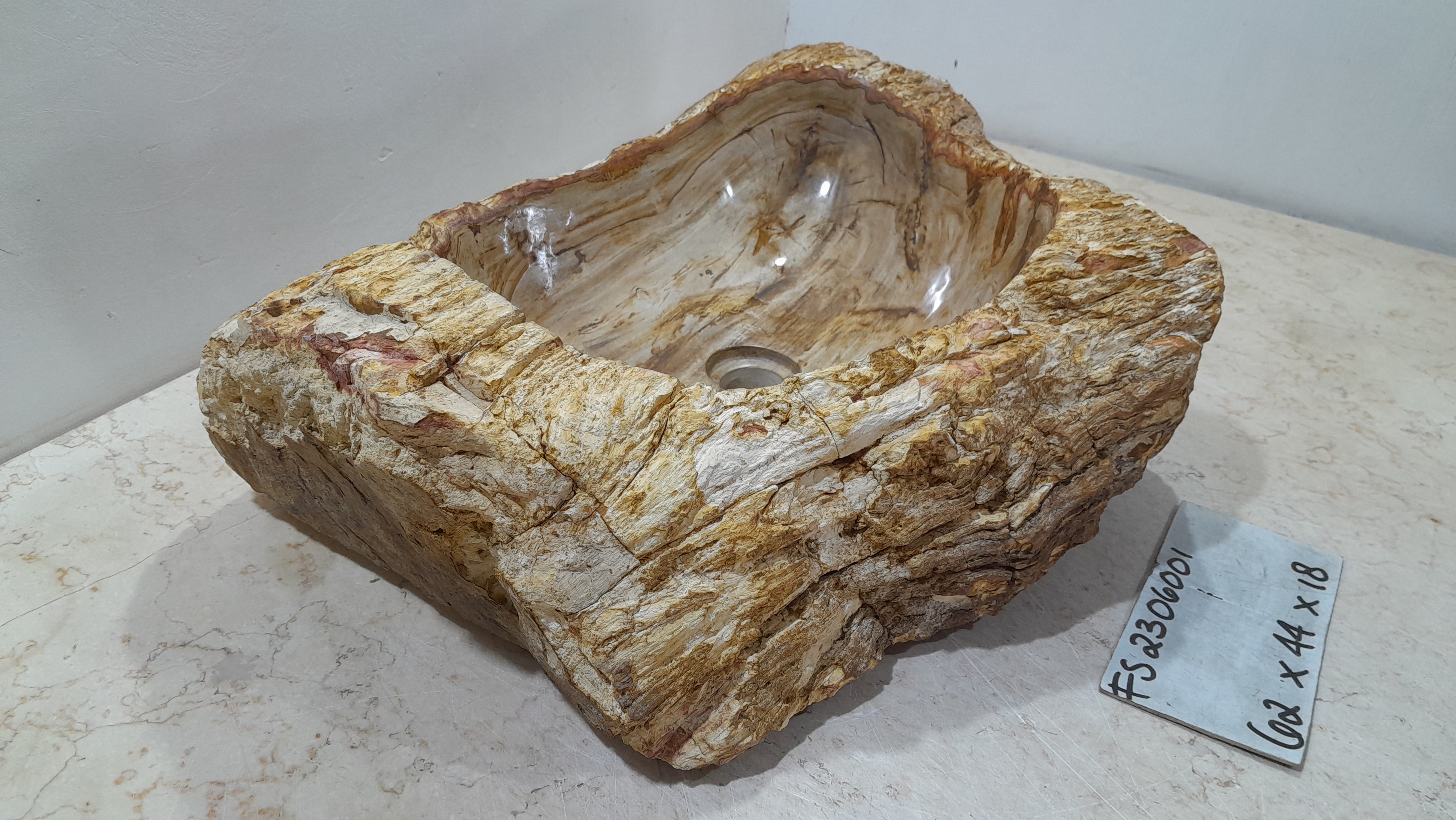 Natural Handmade Petrified Wood Basin - FS2306001