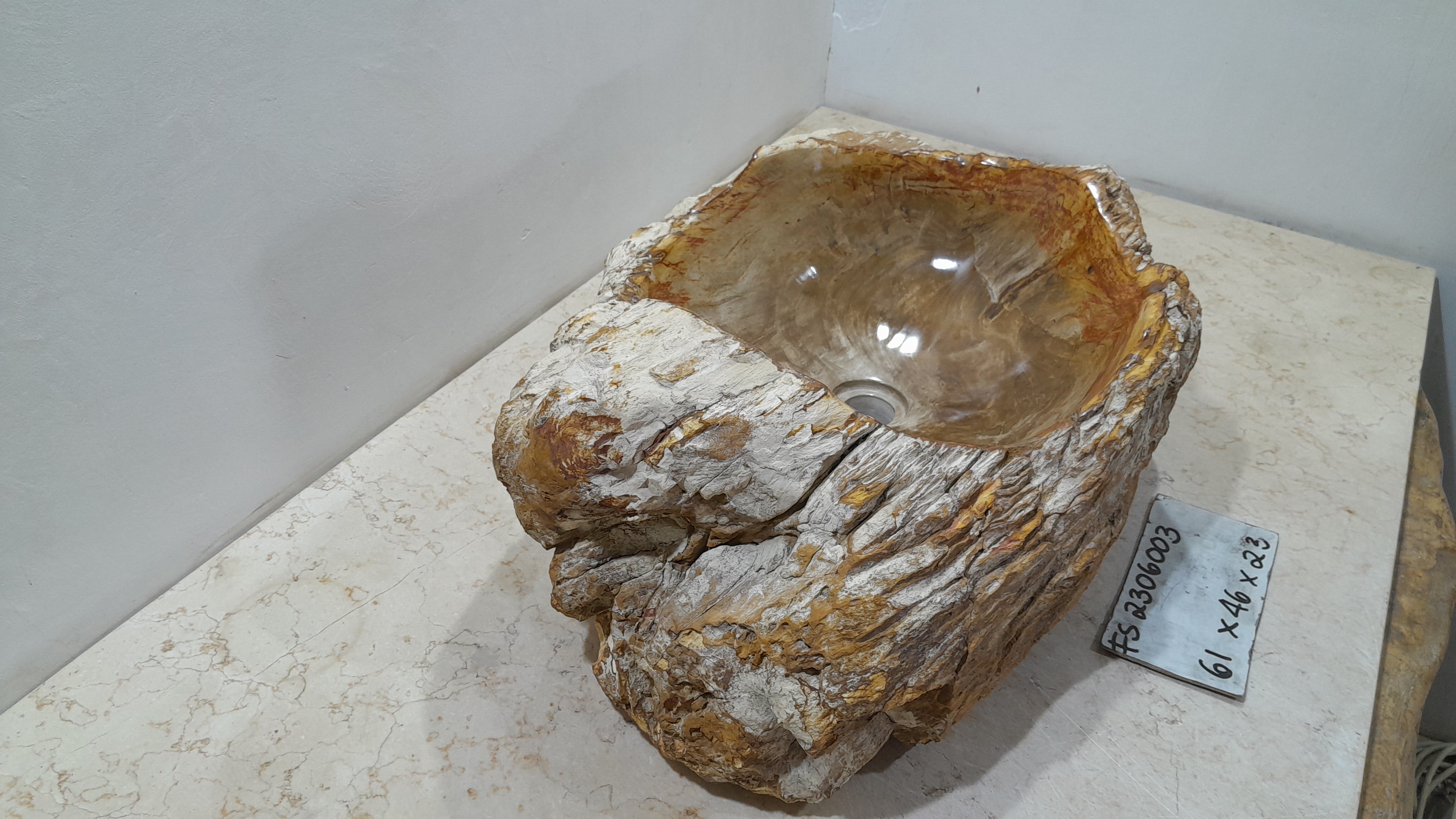 Natural Handmade Petrified Wood Basin - FS2306003