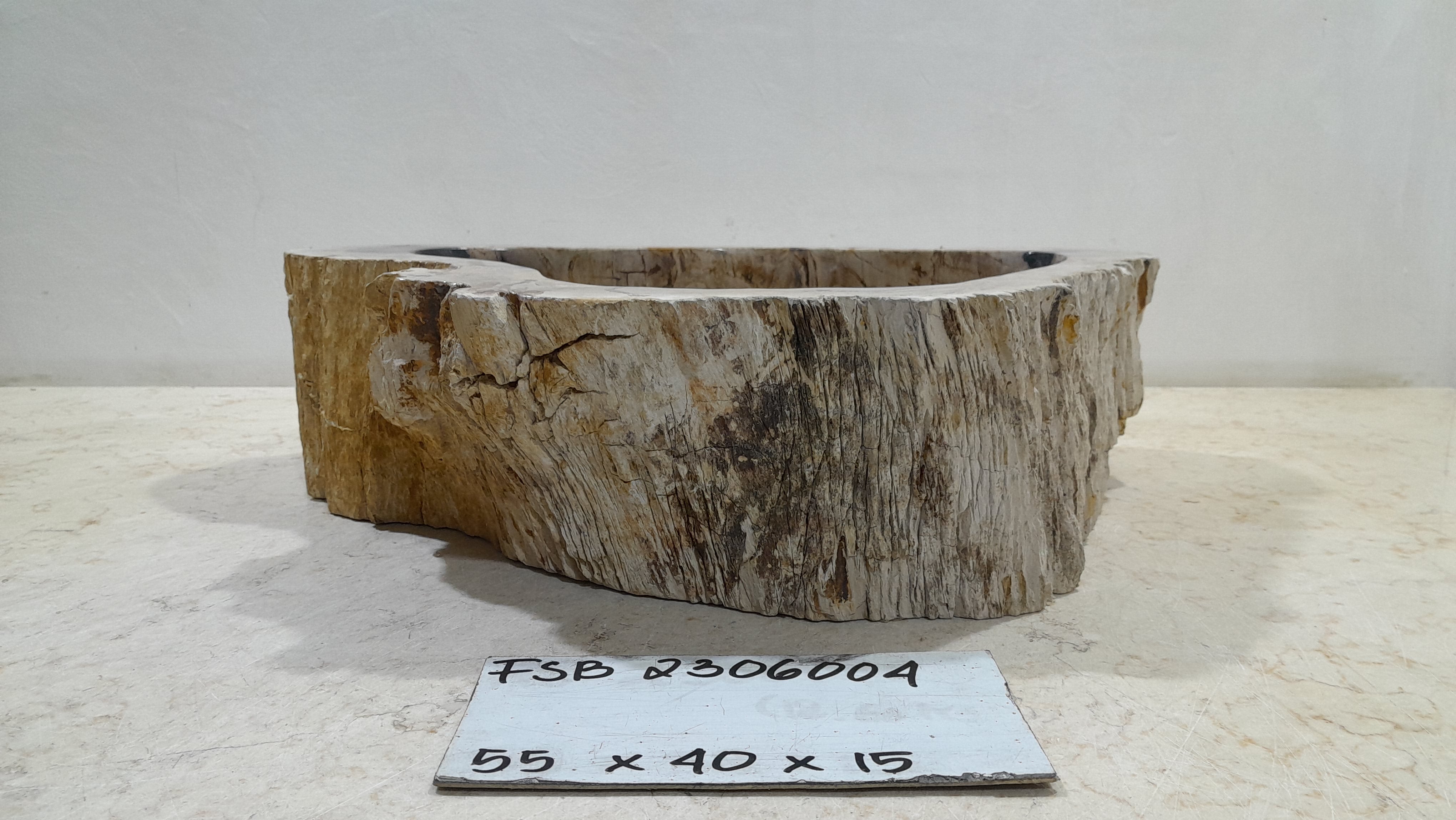 Natural Handmade Petrified Wood Basin - FSB506004