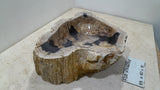 Natural Handmade Petrified Wood Basin - FSB506004