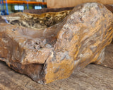 Natural Handmade Petrified Wood Basin - FS0047
