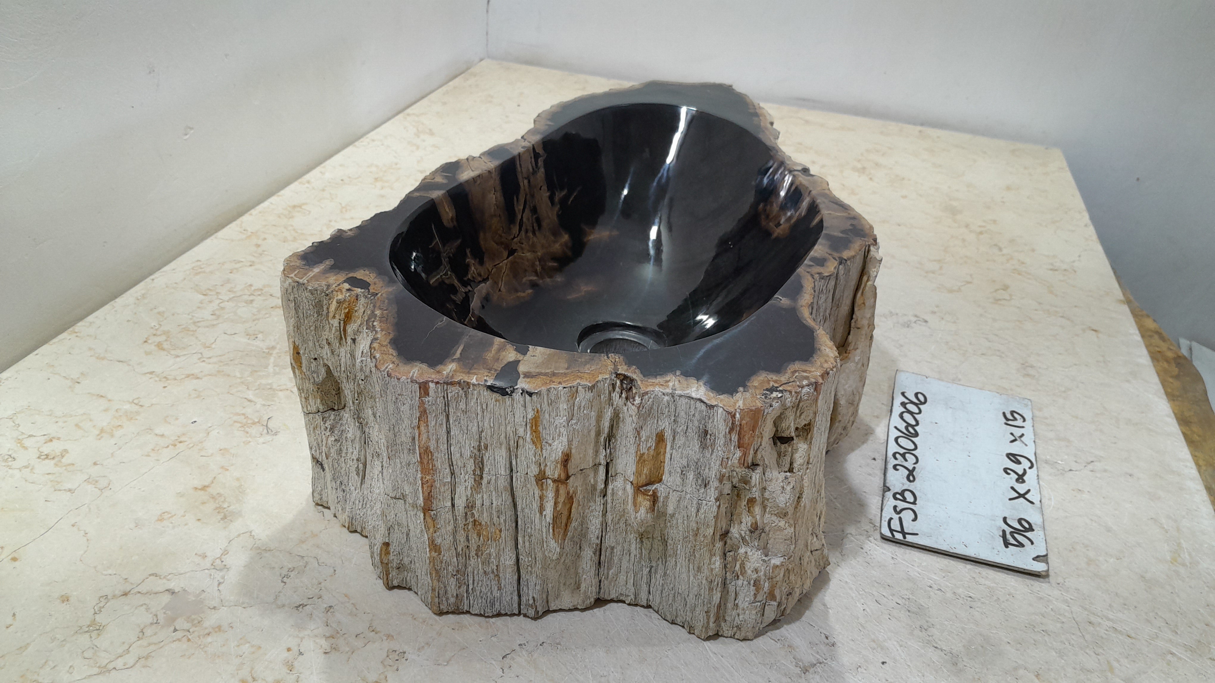 Natural Handmade Petrified Wood Basin - FSB506006