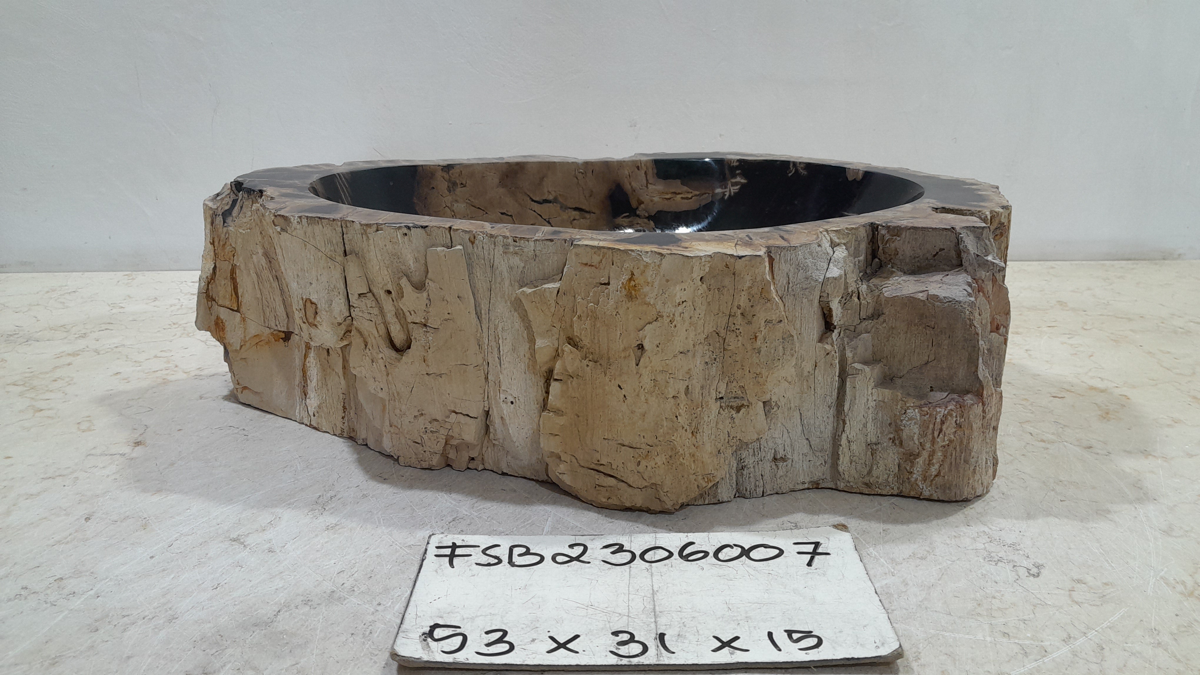 Natural Handmade Petrified Wood Basin - FSB506007