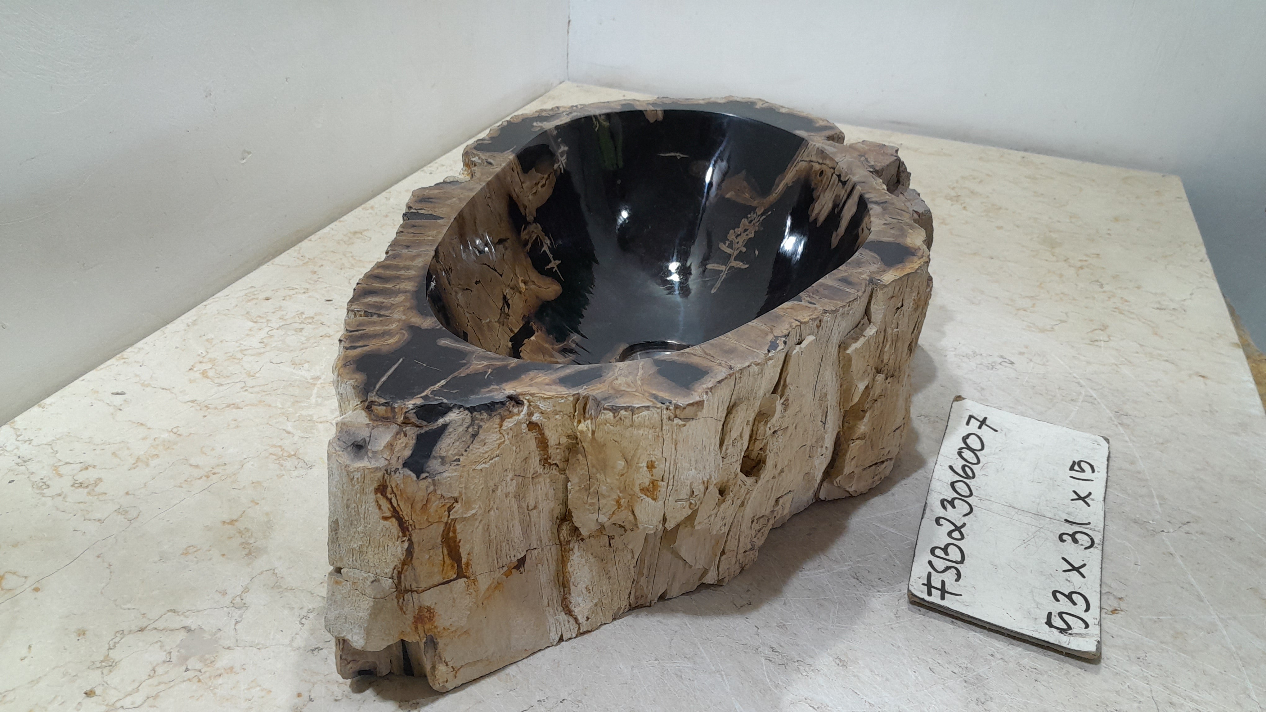 Natural Handmade Petrified Wood Basin - FSB506007