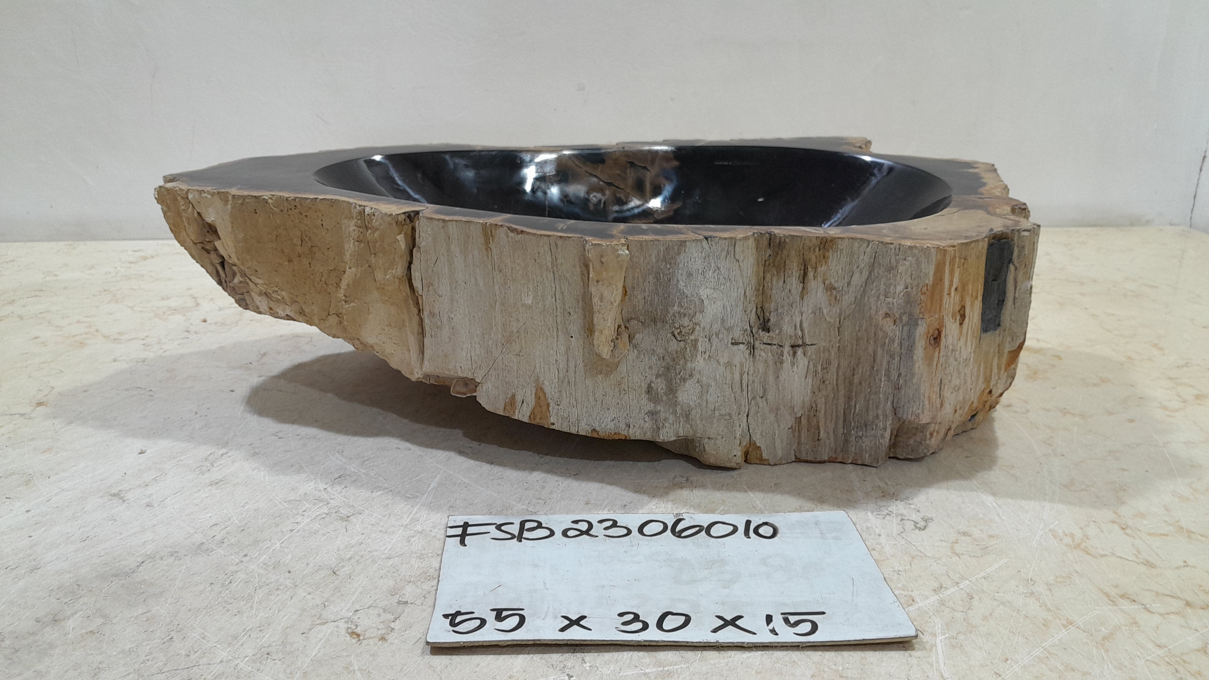 Natural Handmade Petrified Wood Basin - FSB506010