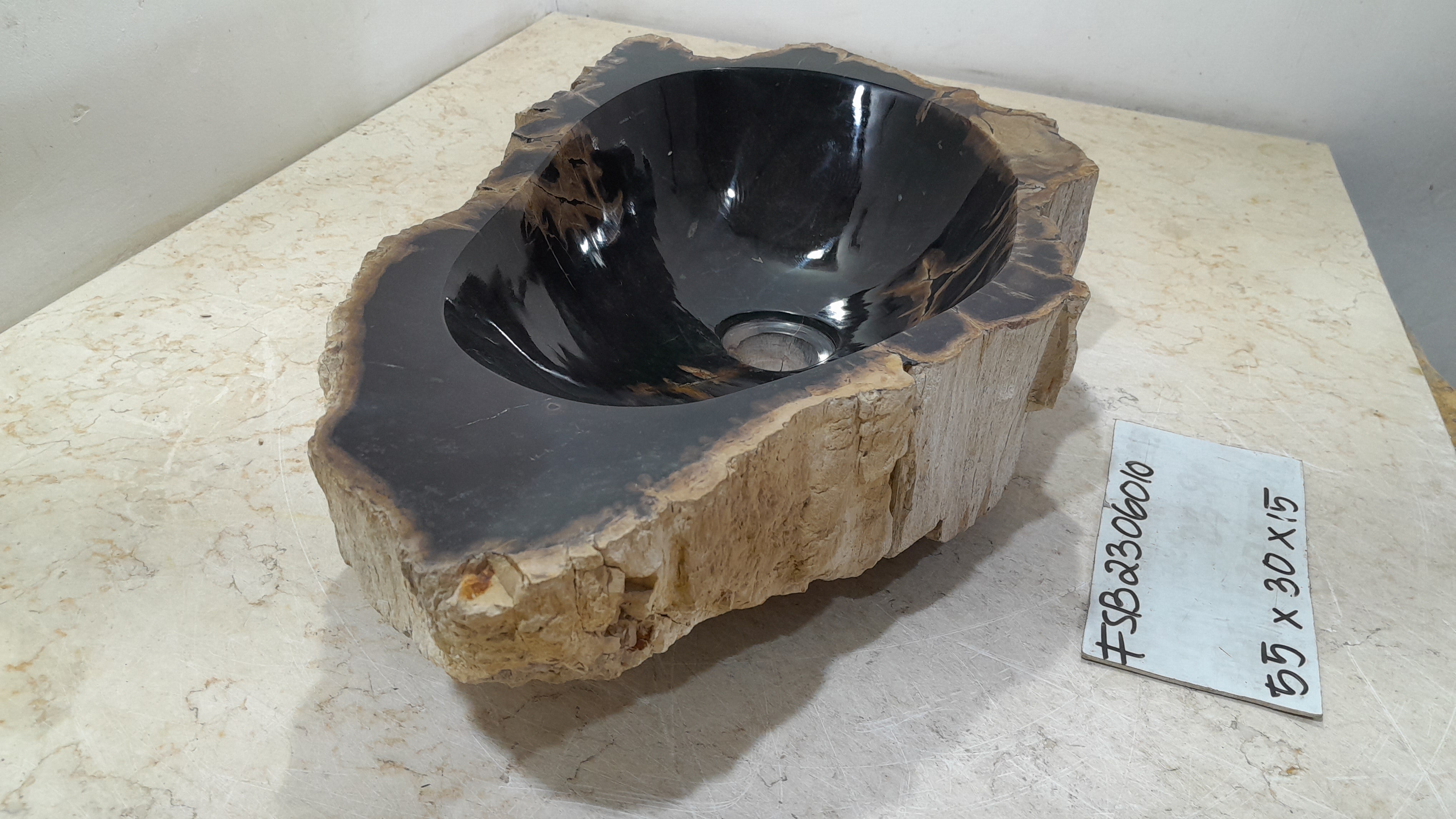 Natural Handmade Petrified Wood Basin - FSB506010