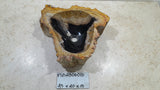 Natural Handmade Petrified Wood Basin - FSB406010