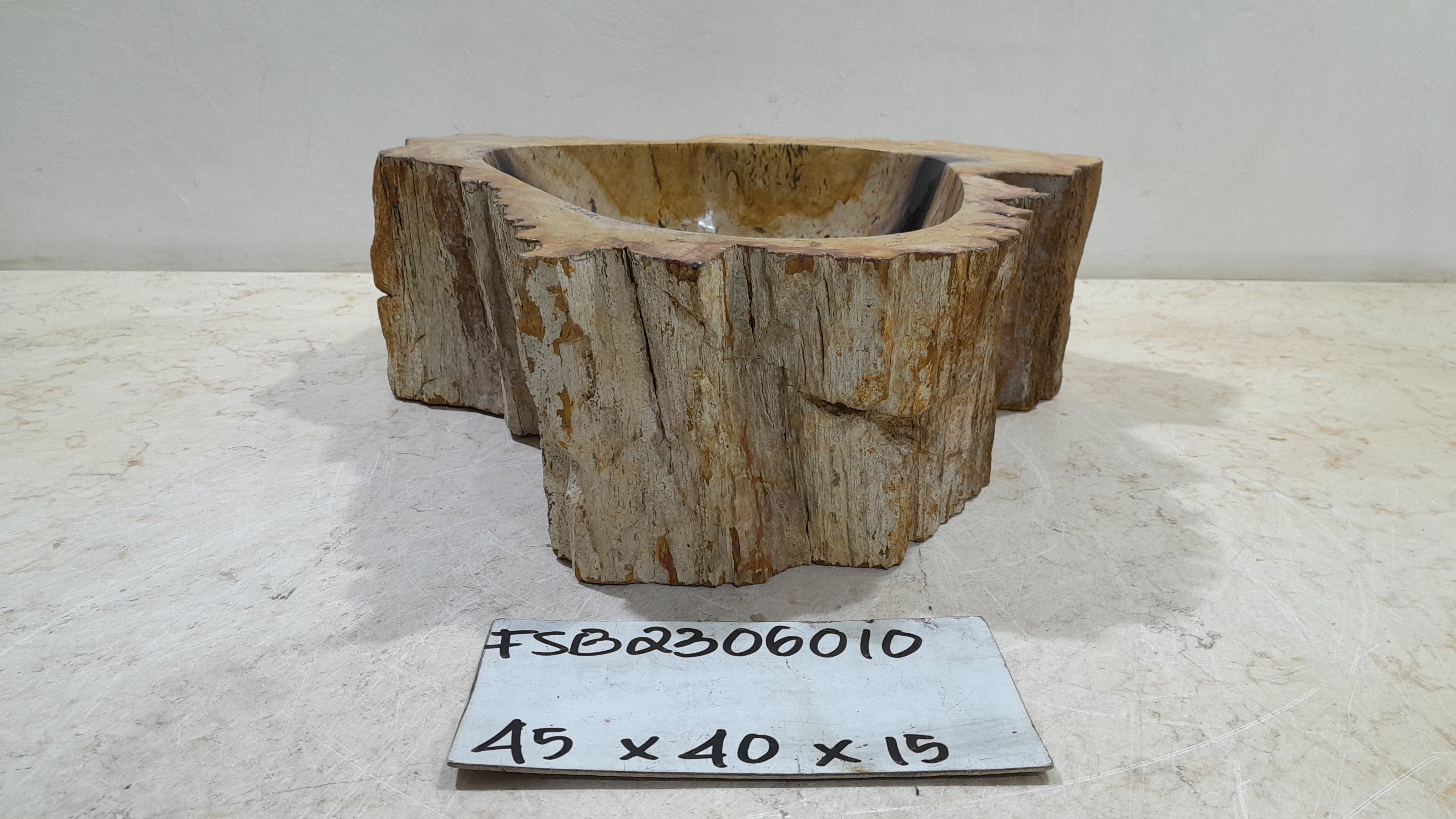 Natural Handmade Petrified Wood Basin - FSB406010