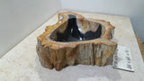 Natural Handmade Petrified Wood Basin - FSB406012