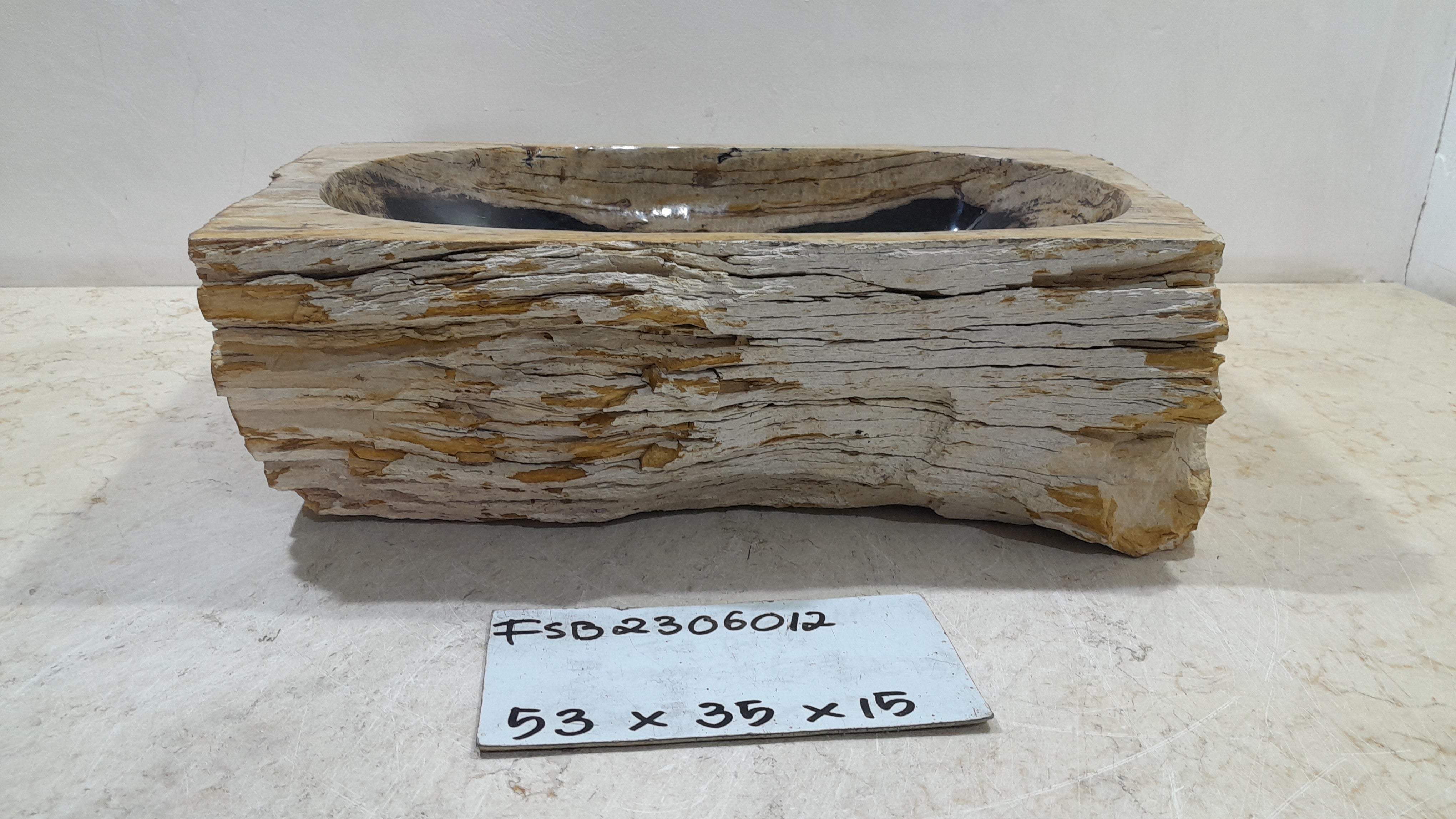 Natural Handmade Petrified Wood Basin - FSB506012