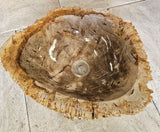 Natural Handmade Petrified Wood Basin - FS2310004