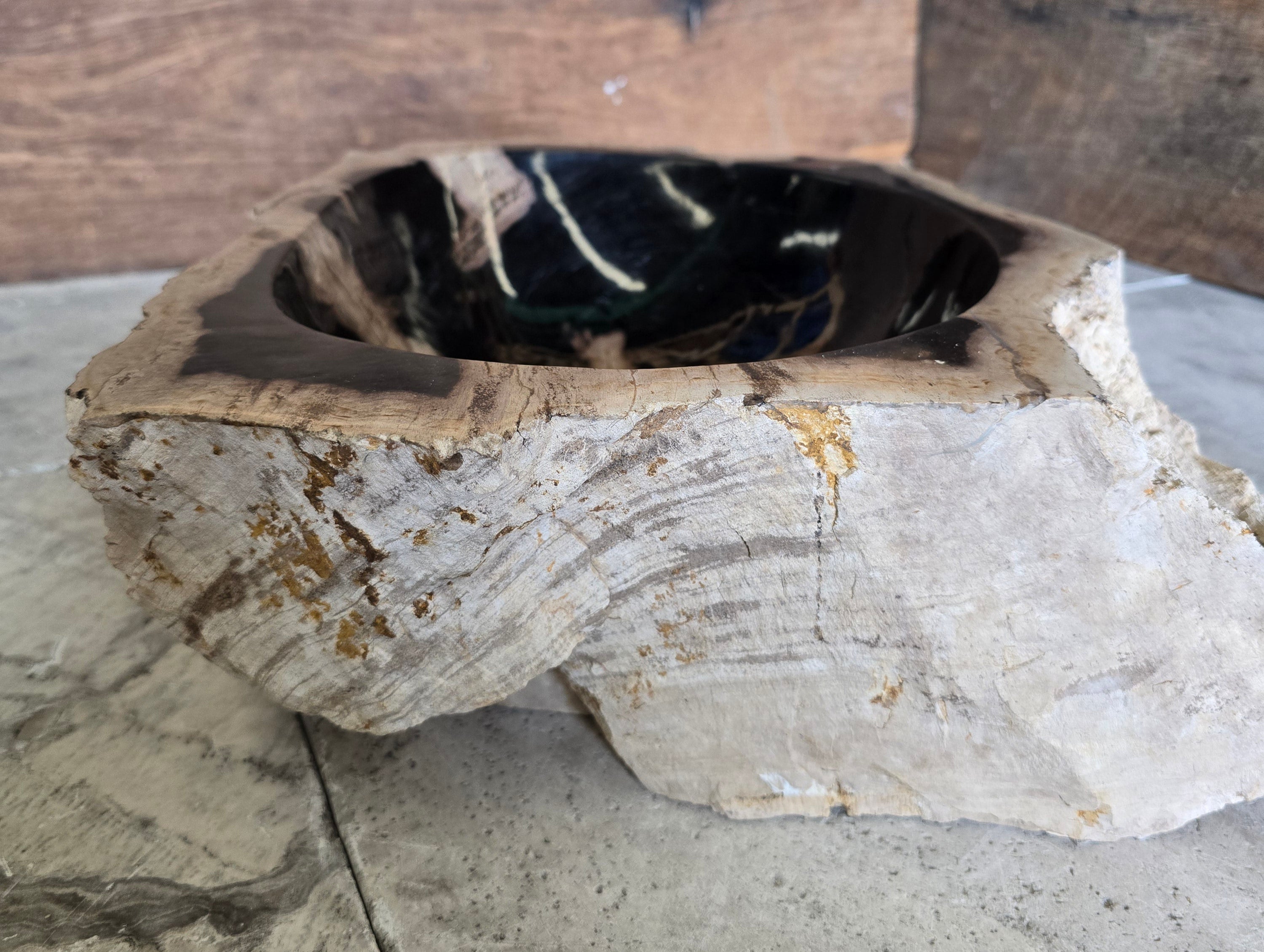 Natural Handmade Petrified Wood Basin - FSB 231005