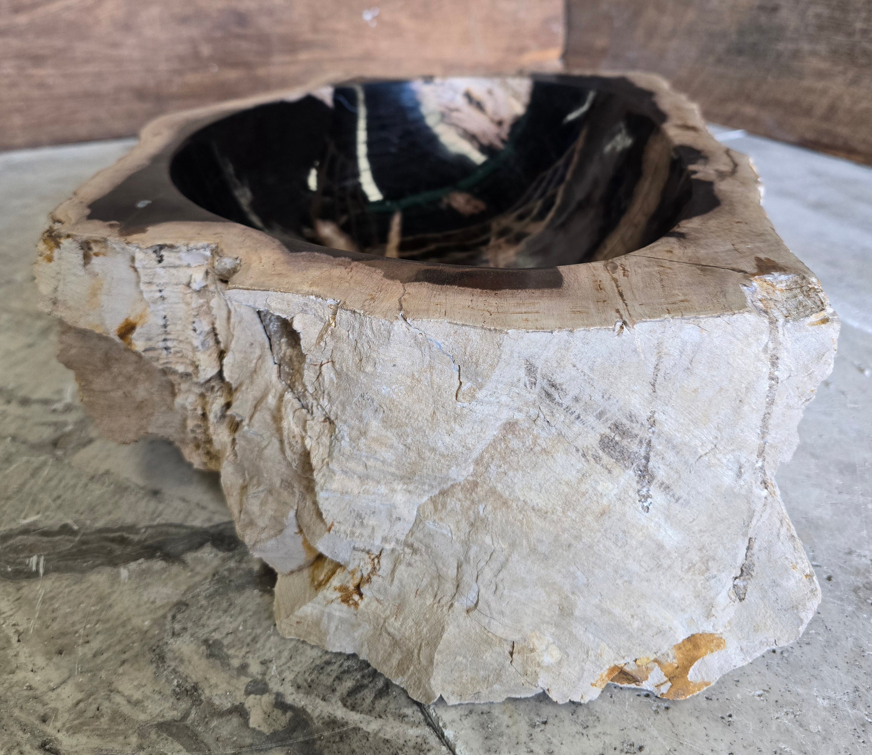 Natural Handmade Petrified Wood Basin - FSB 231005