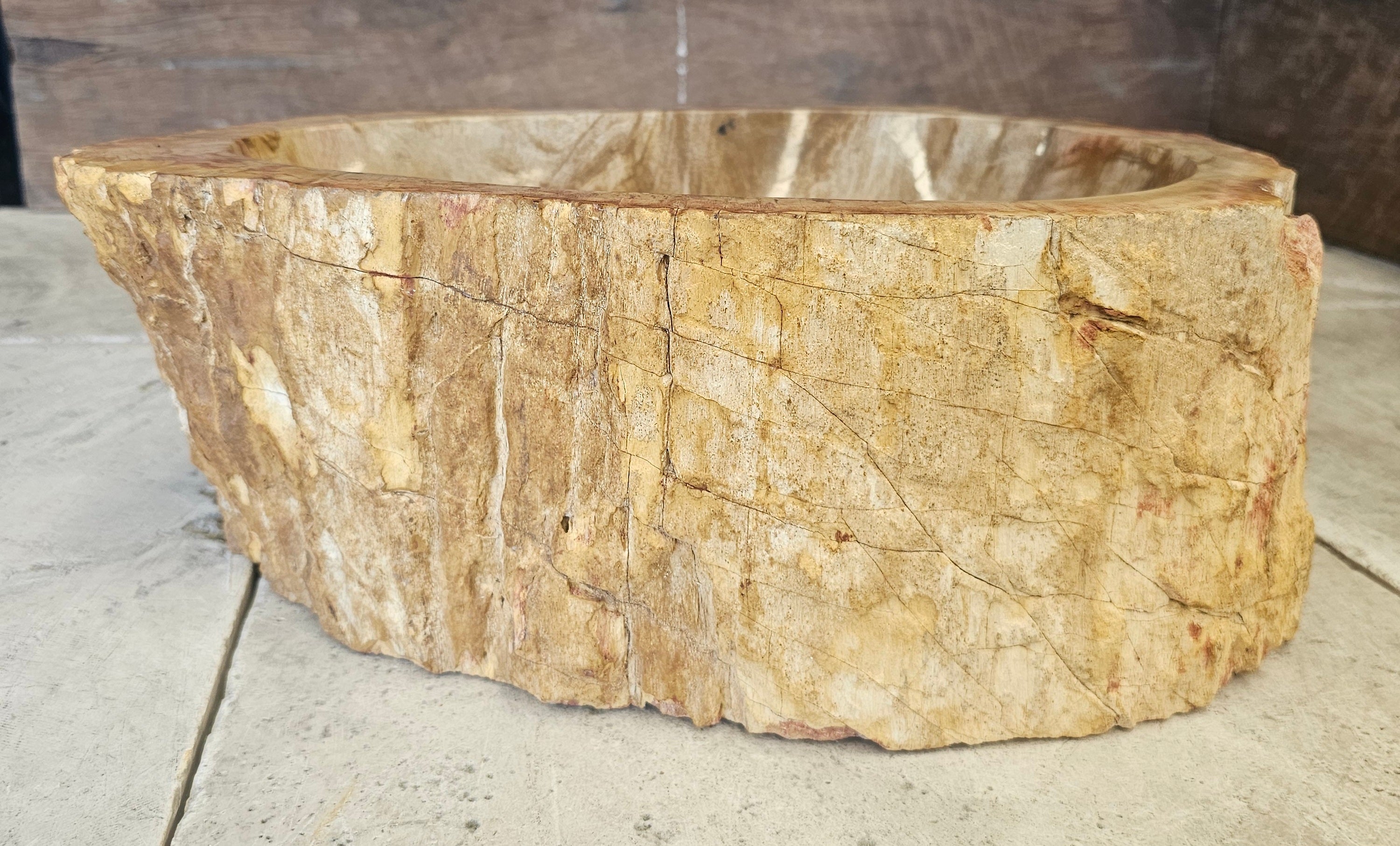 Natural Handmade Petrified Wood Basin - FS 2310005