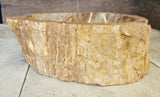 Natural Handmade Petrified Wood Basin - FS 2310005