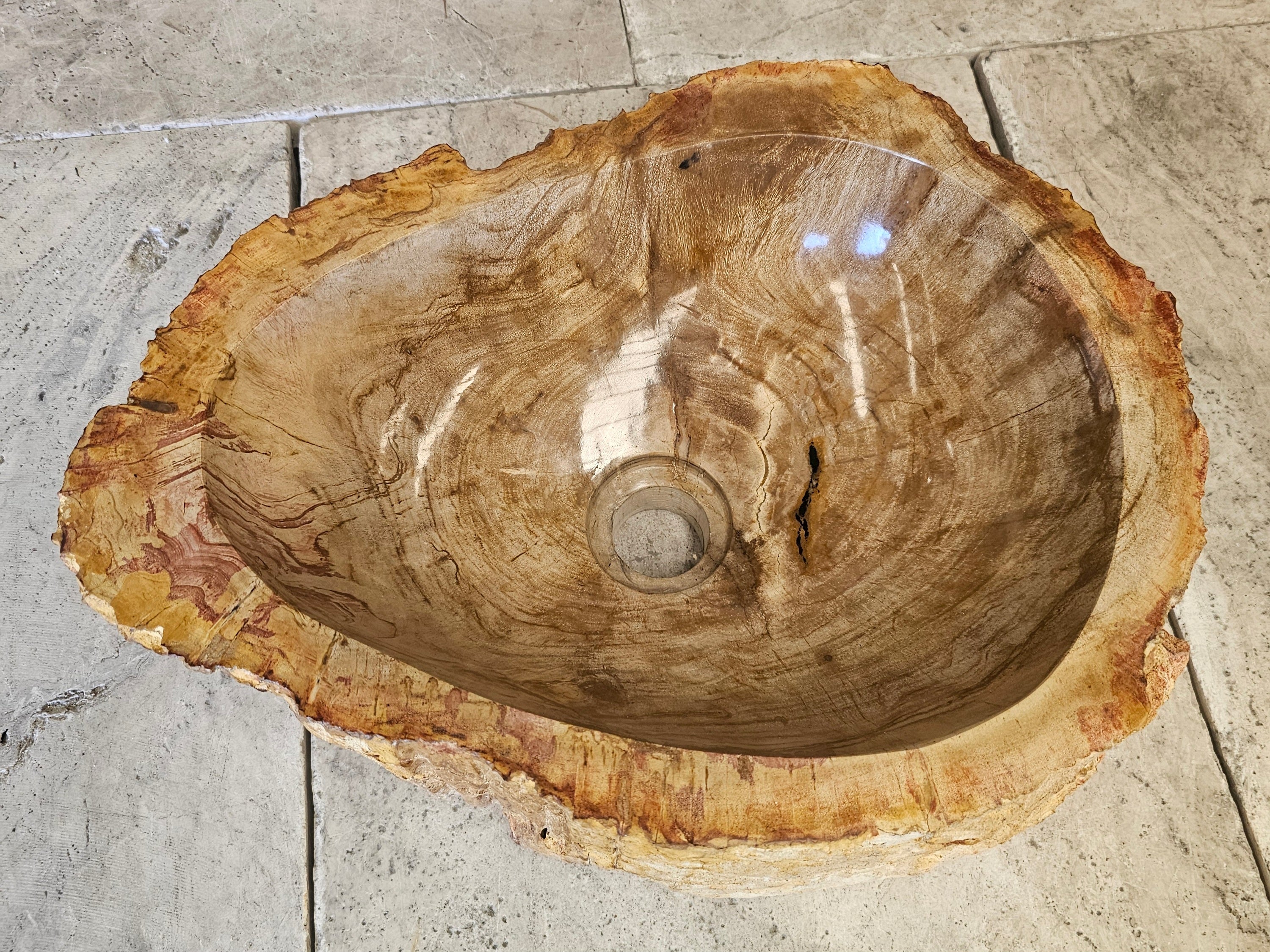 Natural Handmade Petrified Wood Basin - FS 2310005