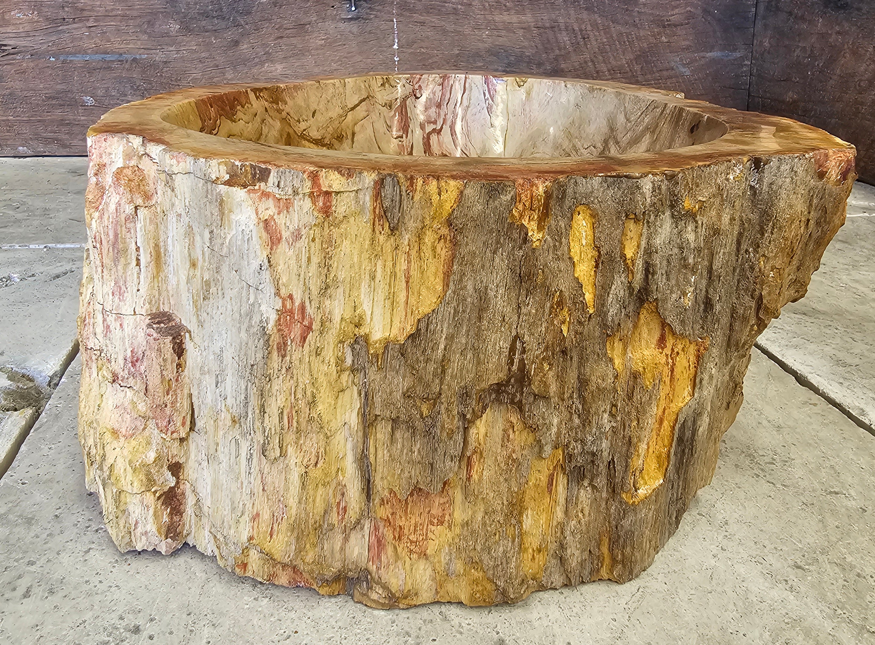 Natural Handmade Petrified Wood Basin - FS 2310005