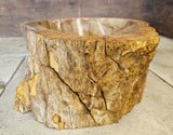 Natural Handmade Petrified Wood Basin - FS 2310005