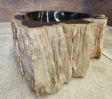 Natural Handmade Petrified Wood Basin - FSB 23116