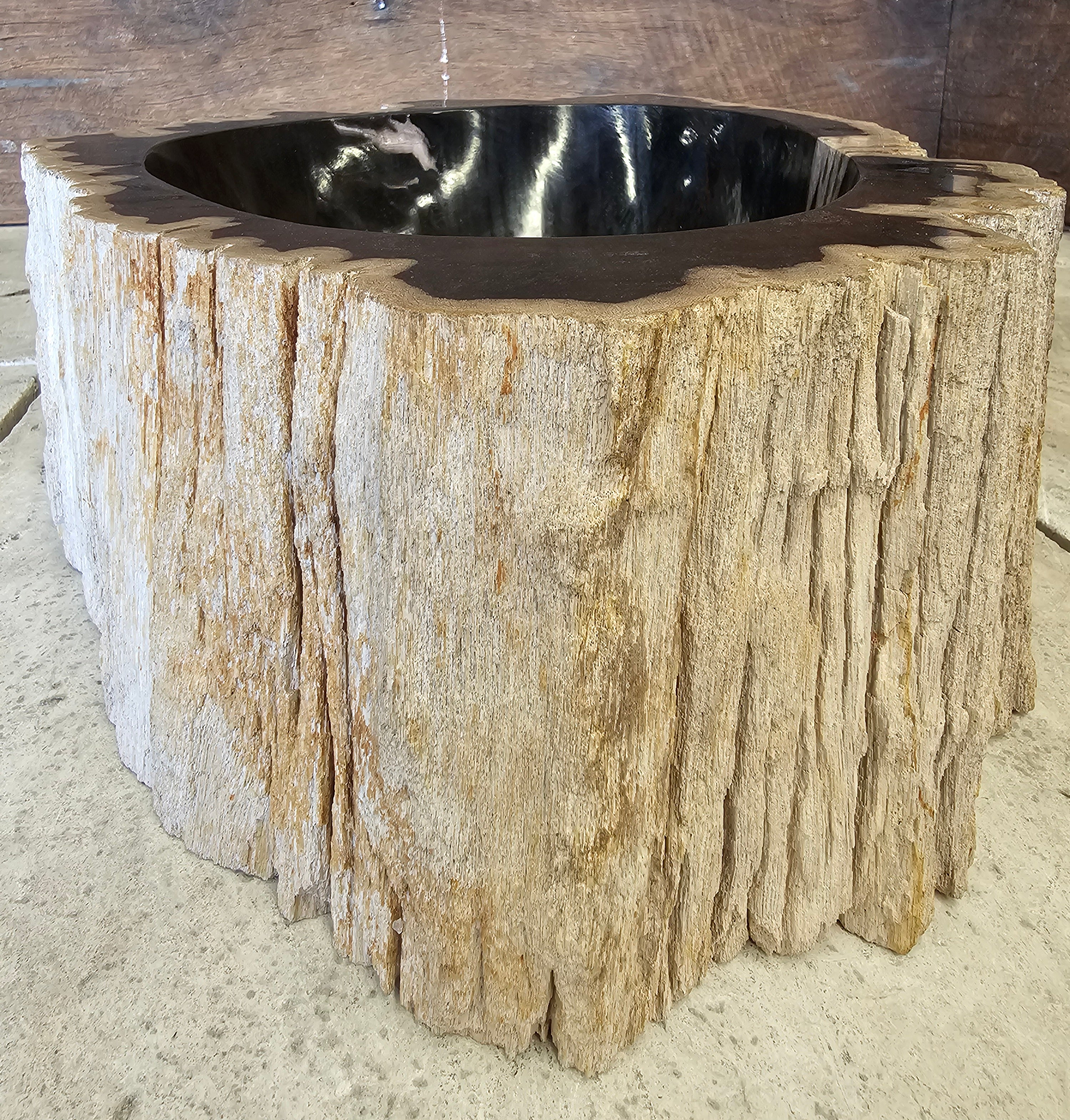 Natural Handmade Petrified Wood Basin - FSB 23116