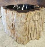 Natural Handmade Petrified Wood Basin - FSB 23116