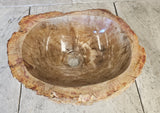 Natural Handmade Petrified Wood Basin - FS 230007