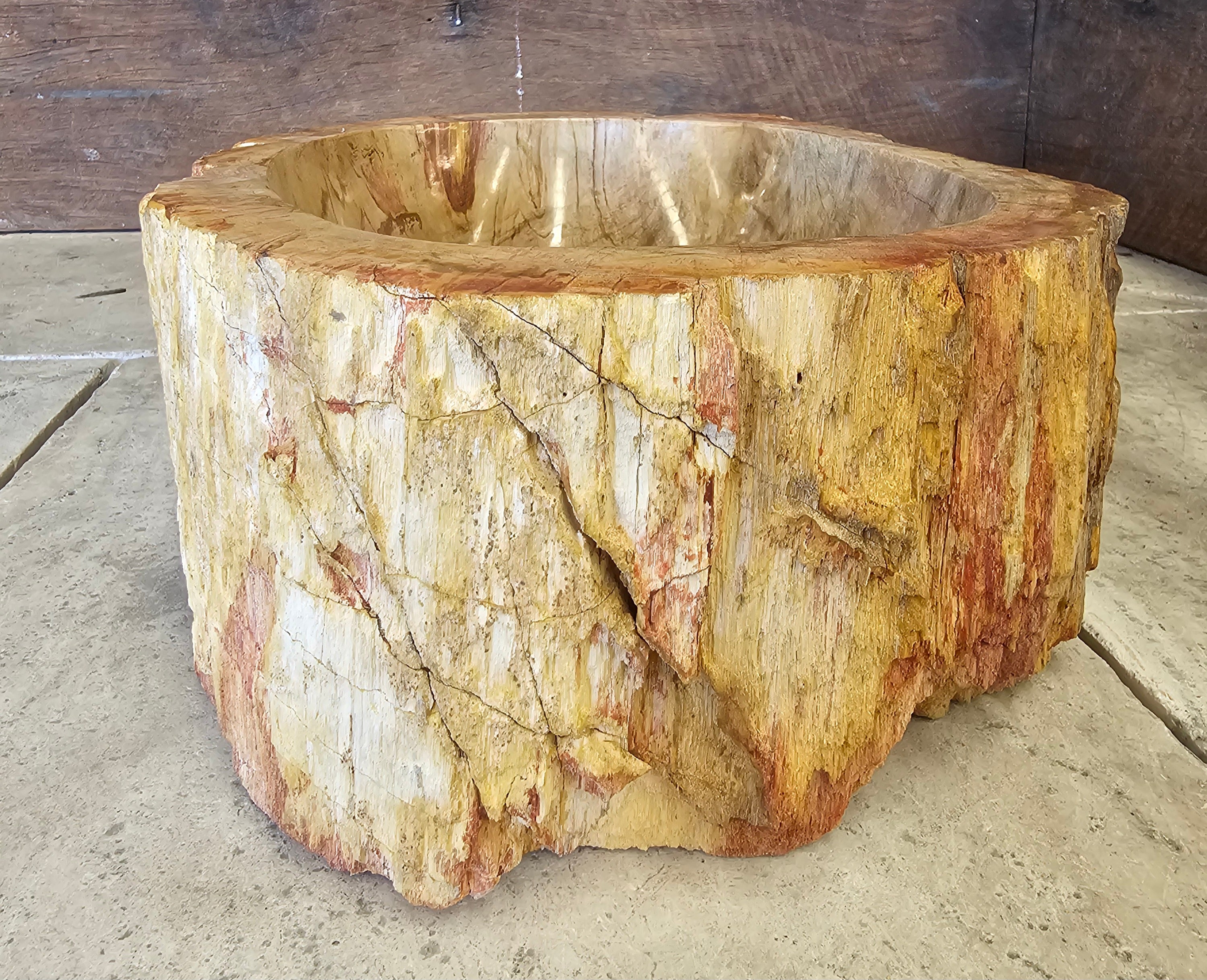 Natural Handmade Petrified Wood Basin - FS 230007