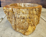 Natural Handmade Petrified Wood Basin - FS 230007