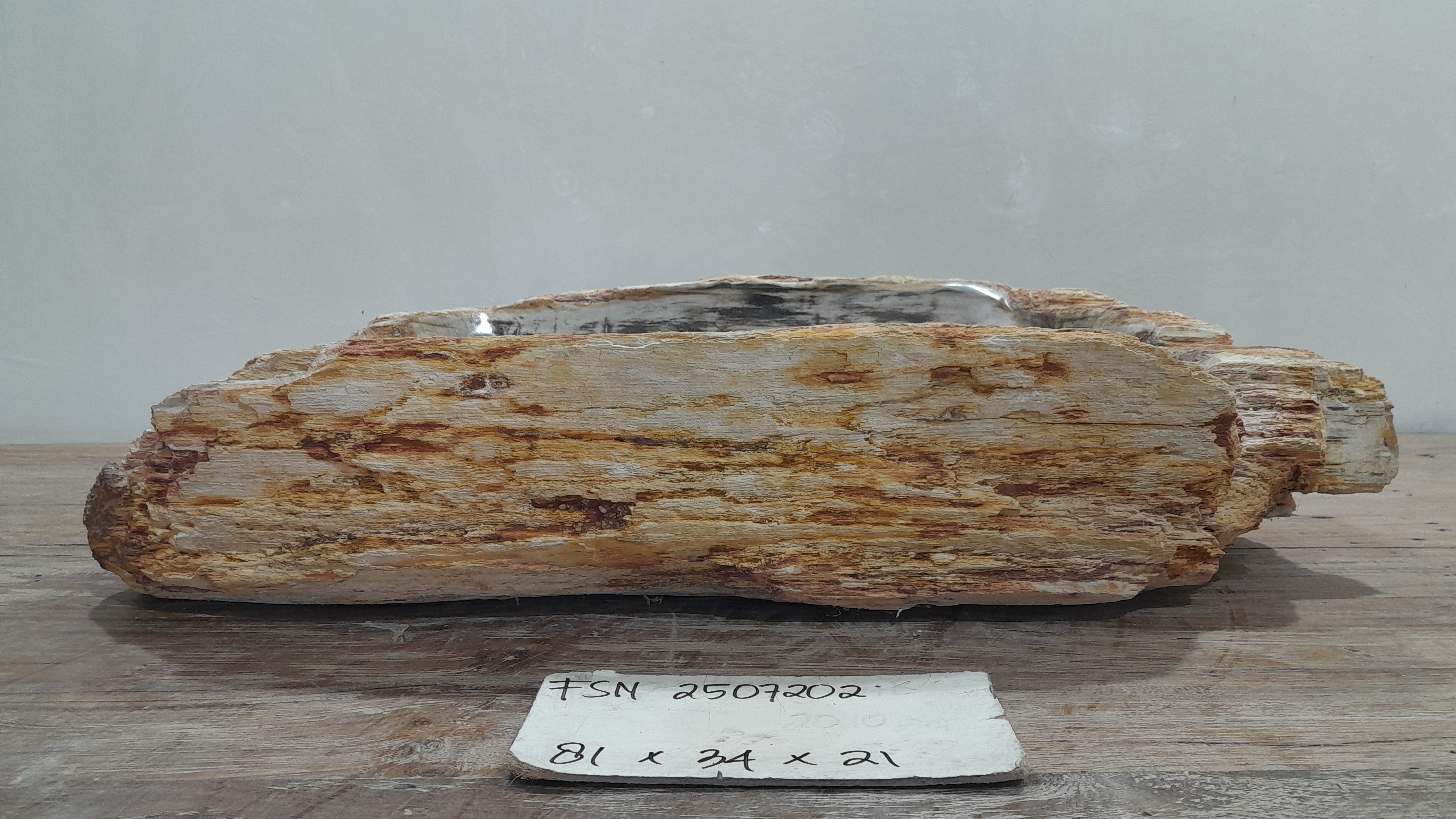 Natural Handmade Petrified Wood Basin - FSN 2507202