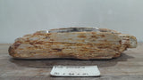 Natural Handmade Petrified Wood Basin - FSN 2507202