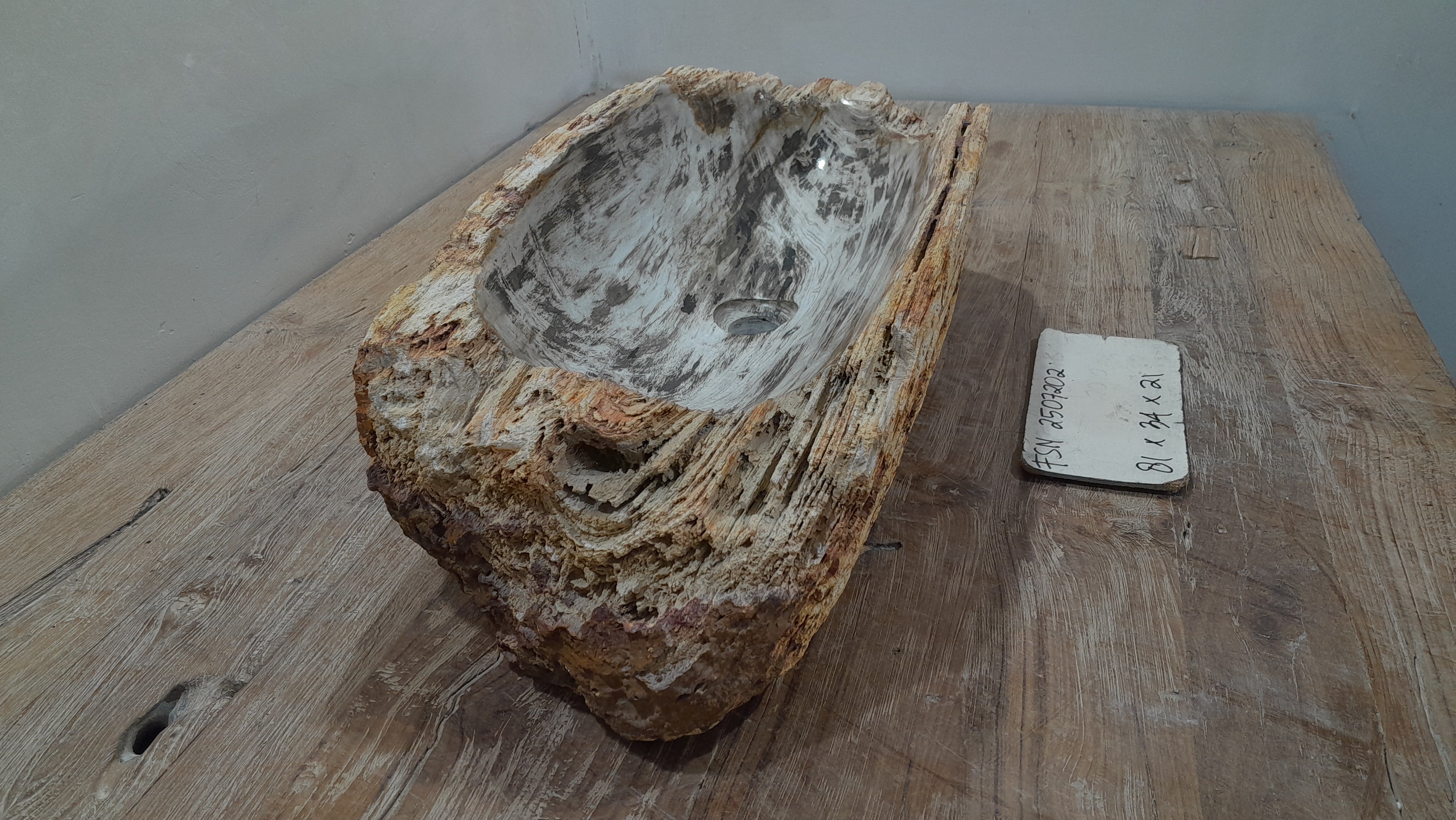 Natural Handmade Petrified Wood Basin - FSN 2507202