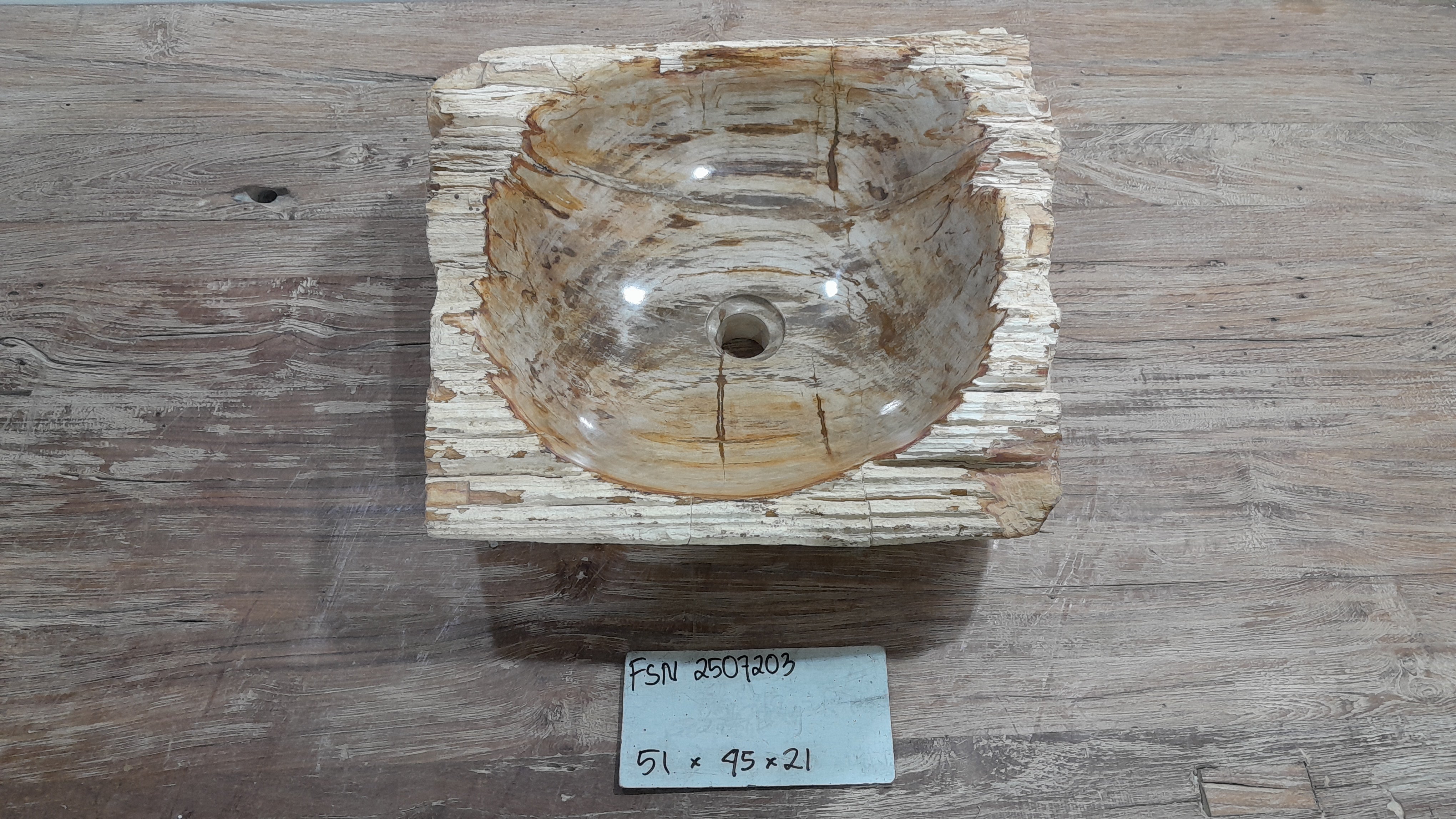 Natural Handmade Petrified Wood Basin - FSN 2507203