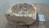Natural Handmade Petrified Wood Basin - FSN 2507203