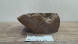 Natural Handmade Petrified Wood Basin - FSN 2507204